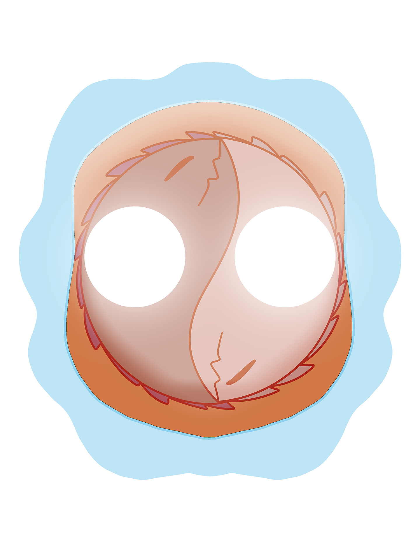 Mr. Digital Logo